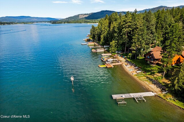 527 W Seneacquoteen, Priest River, ID 83856 - photo 50