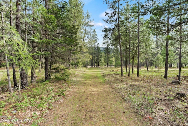 850 Hoop Loop Rd, Priest River, ID 83856 - photo 59