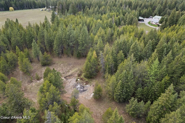 850 Hoop Loop Rd, Priest River, ID 83856 - photo 69