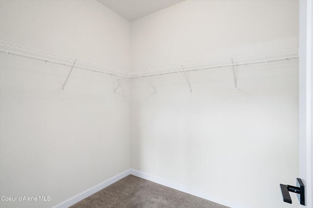 2756 W Lumber Ln Unit 7, Coeur Dalene, ID 83814 - spacious closet with dark carpet
