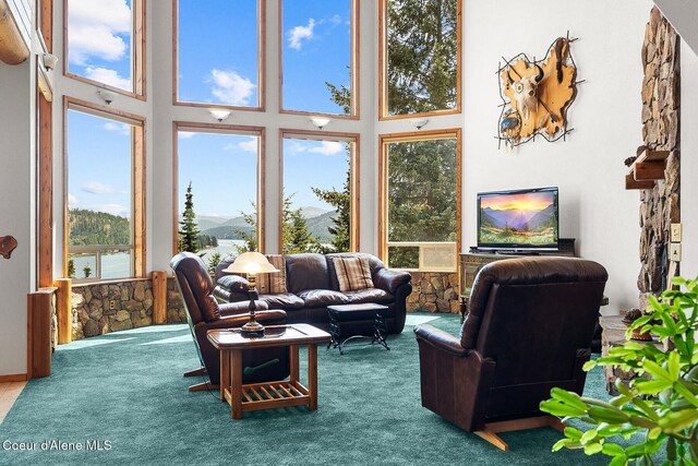 14830 Dufort Rd, Priest River, ID 83856 - photo 14