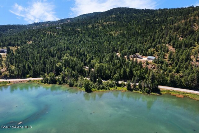 14830 Dufort Rd, Priest River, ID 83856 - photo 59