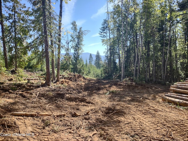 NKA Cohage Rd, Sandpoint, ID 83864 - photo 3