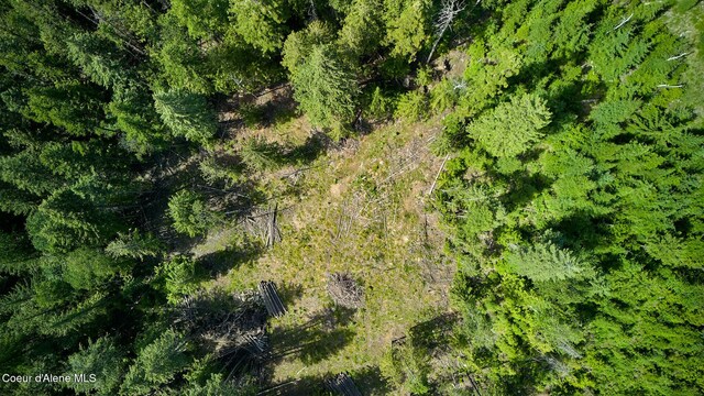NKA Cohage Rd, Sandpoint, ID 83864 - photo 6