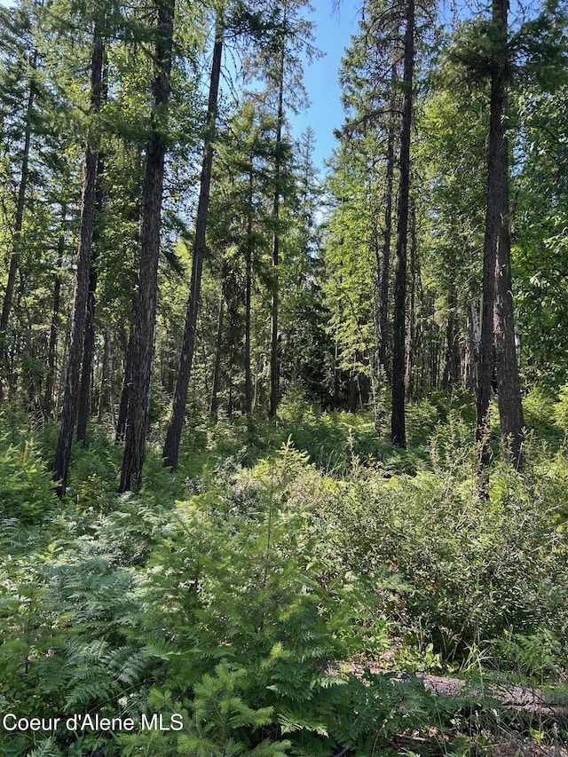 NKA Cohage Rd, Sandpoint, ID 83864 - photo 8