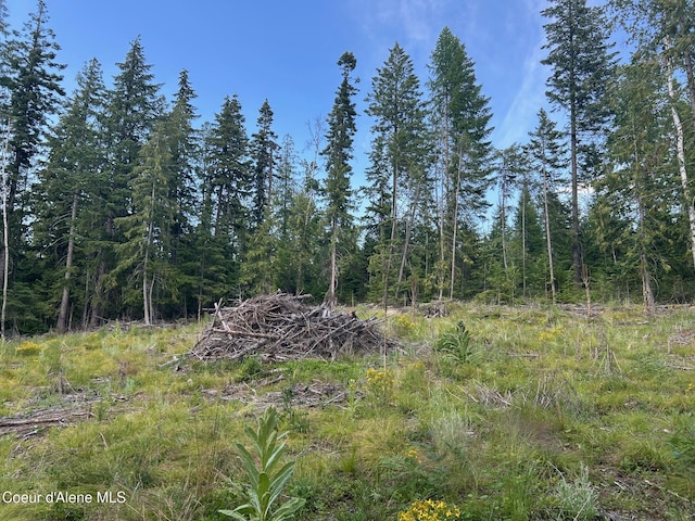 NKA Cohage Rd, Sandpoint, ID 83864 - photo 12
