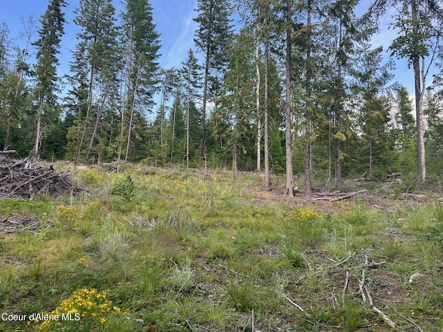 NKA Cohage Rd, Sandpoint, ID 83864 - photo 13