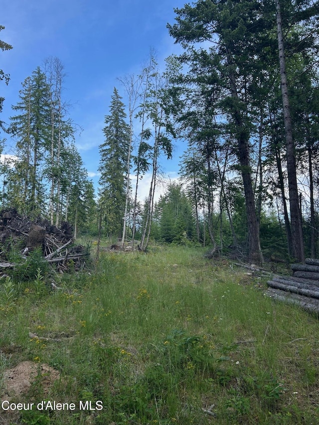 NKA Cohage Rd, Sandpoint, ID 83864 - photo 11