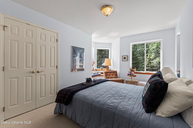 38 S Quail Run Unit B, Sandpoint, ID 83864 - carpeted bedroom with a closet