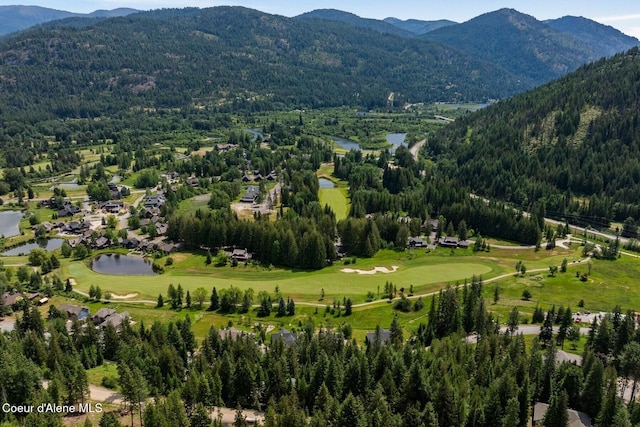 38 S Quail Run Unit B, Sandpoint, ID 83864 - view of property location with a water and mountain view and a forest