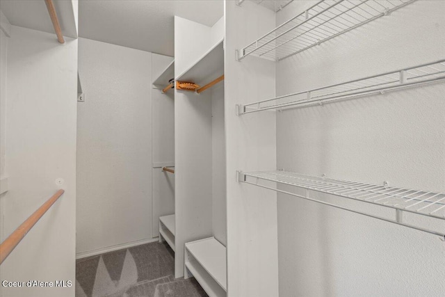 2699 E Packsaddle Dr, Coeur Dalene, ID 83815 - walk in closet with carpet