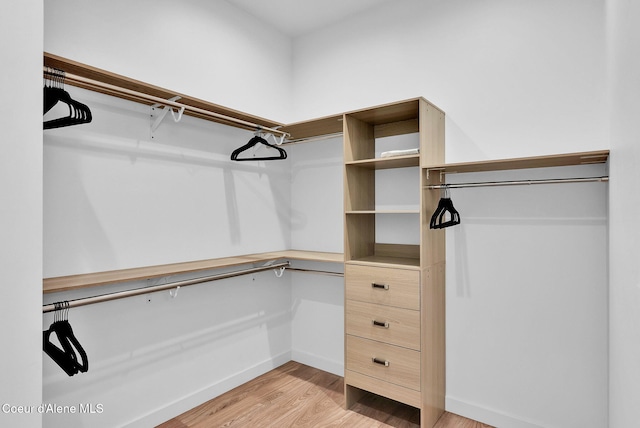 114 E Hattie, Coeur Dalene, ID 83814 - walk in closet with light wood-style flooring