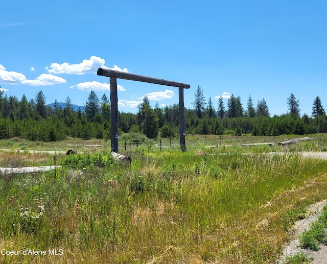 29222 N 1st St, Athol, ID 83801 - exterior view of a mountain backdrop and a heavily wooded area