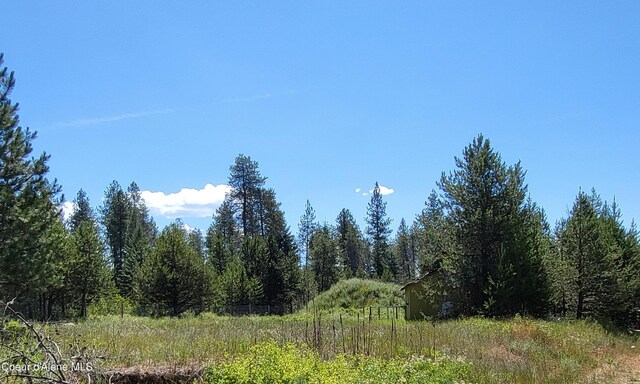 29222 N 1st St, Athol, ID 83801 - view of woods