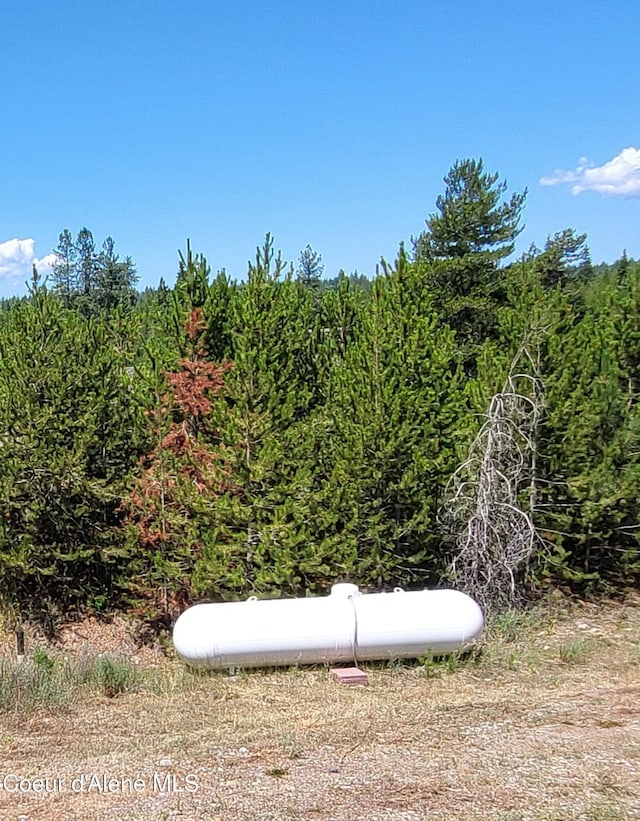 29222 N 1st St, Athol, ID 83801 - exterior view of heating fuel tank and a forest