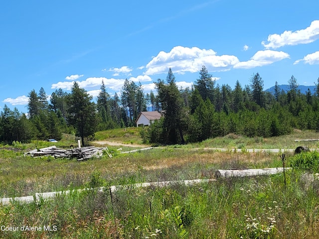 29222 N 1st St, Athol, ID 83801 - view of yard featuring a forest view