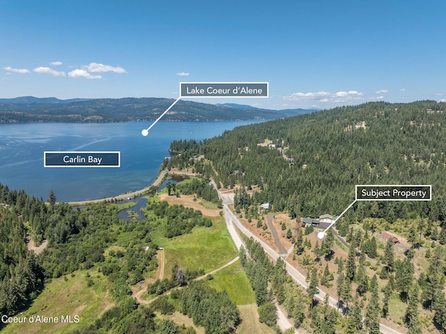 NKA E Joyces Rd, Harrison, ID 83833