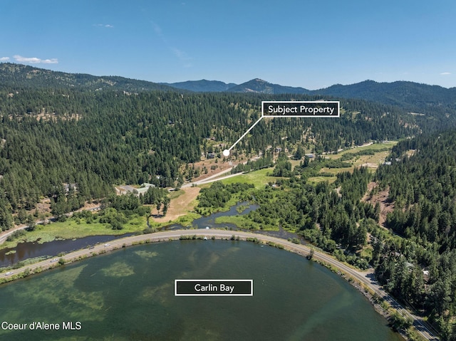 NKA E Joyces Rd, Harrison, ID 83833
