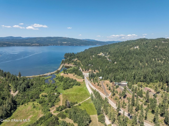 NKA E Joyces Rd, Harrison, ID 83833