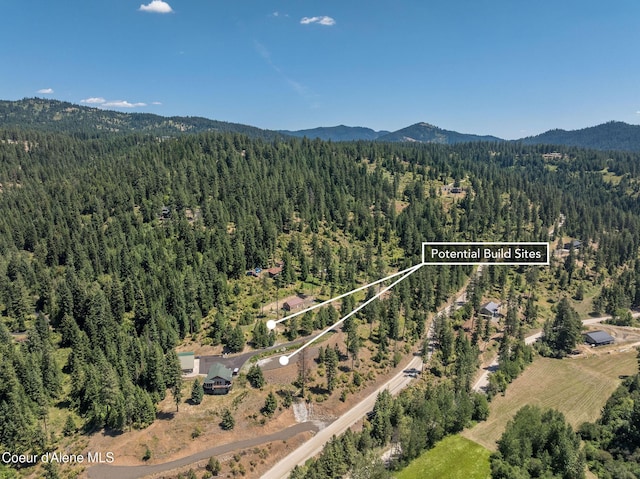 NKA E Joyces Rd, Harrison, ID 83833