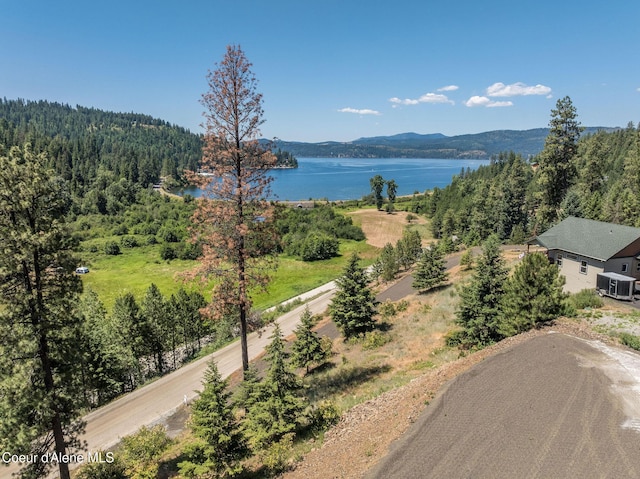 NKA E Joyces Rd, Harrison, ID 83833