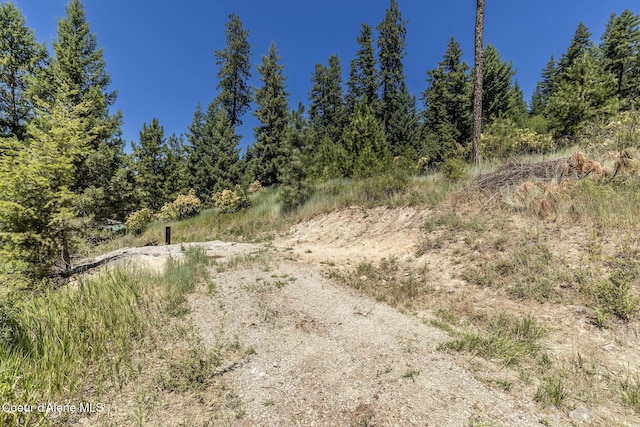 NKA E Joyces Rd, Harrison, ID 83833