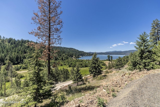 NKA E Joyces Rd, Harrison, ID 83833