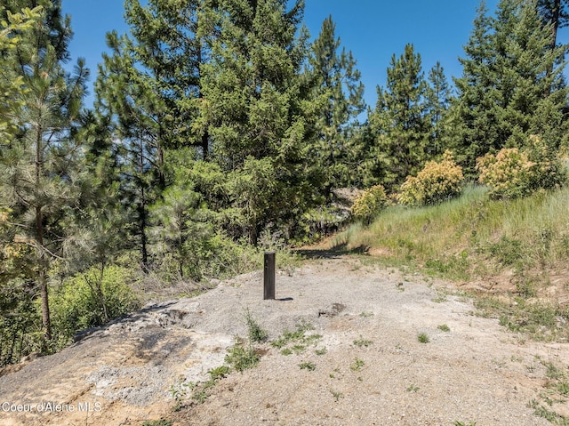 NKA E Joyces Rd, Harrison, ID 83833