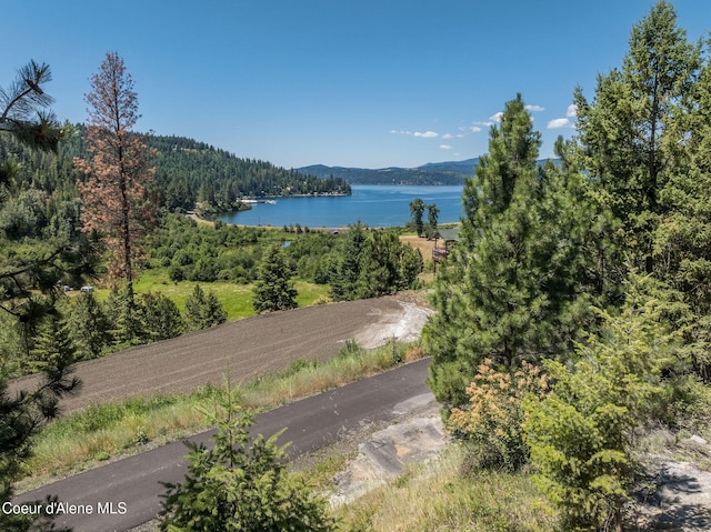 NKA E Joyces Rd, Harrison, ID 83833