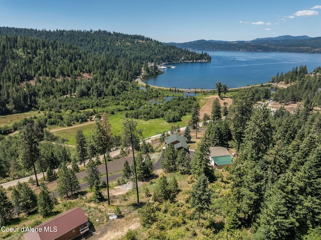NKA E Joyces Rd, Harrison, ID 83833