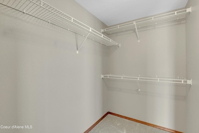 13388 N Polaris St, Rathdrum, ID 83858 - spacious closet with carpet flooring