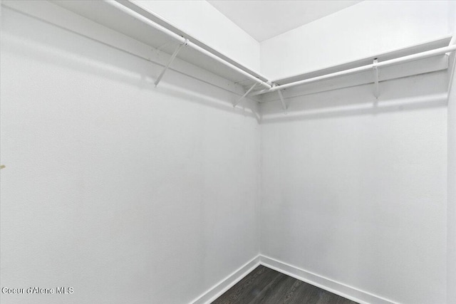 1613 E Coeur D Alene Ave, Coeur Dalene, ID 83814 - walk in closet with dark wood-style flooring