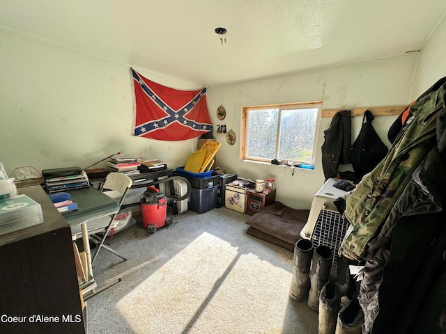 1484 W Elkhorn Meadows Rd, Fernwood, ID 83830 - view of carpeted office space