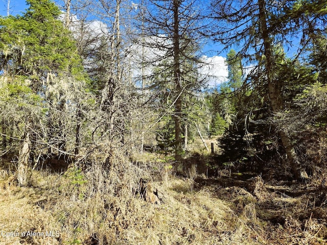 1484 W Elkhorn Meadows Rd, Fernwood, ID 83830 - view of undeveloped land
