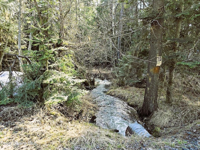 1484 W Elkhorn Meadows Rd, Fernwood, ID 83830 - view of nature