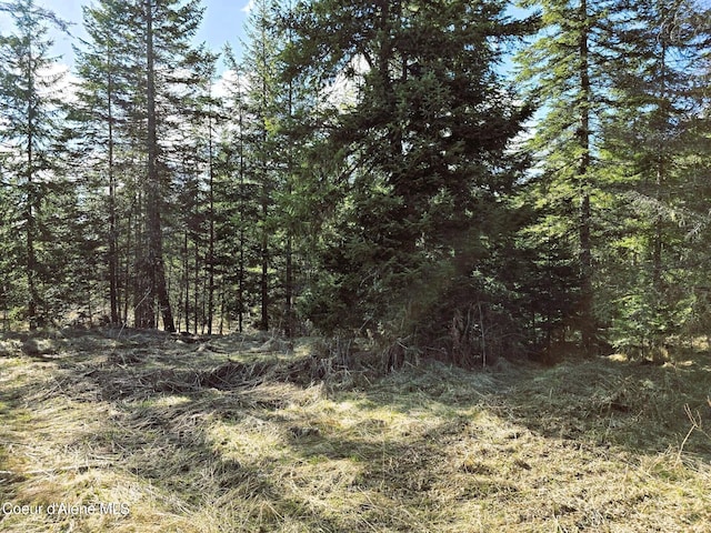 1484 W Elkhorn Meadows Rd, Fernwood, ID 83830 - view of tree filled area