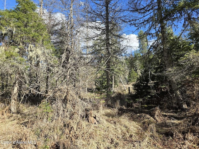 1484 W Elkhorn Meadows Rd, Fernwood, ID 83830 - view of undeveloped land