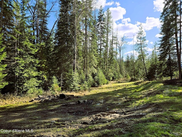 1484 W Elkhorn Meadows Rd, Fernwood, ID 83830 - view of woods