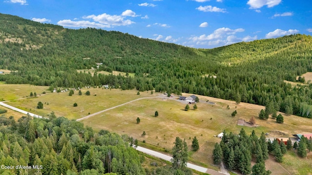 12194 E Rosewood Rd, Saint Maries, ID 83861 - photo 57