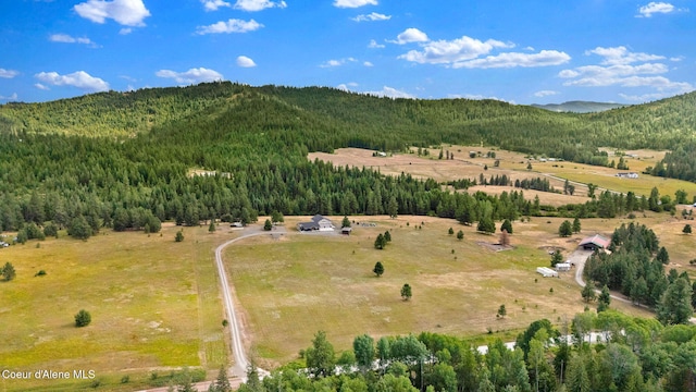 12194 E Rosewood Rd, Saint Maries, ID 83861 - photo 66