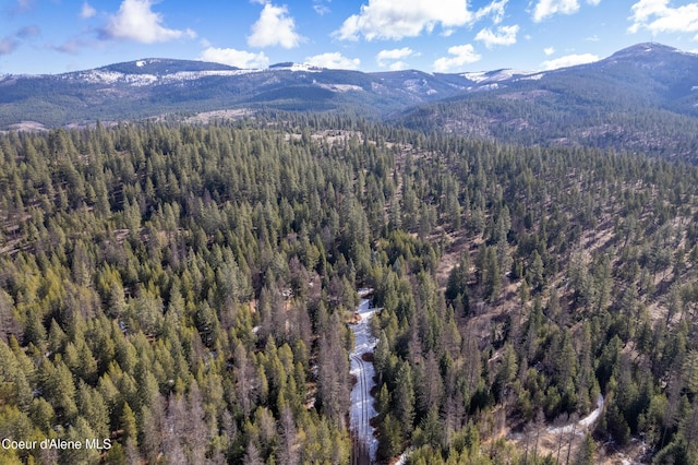 5341 Hoo Doo Loop, Oldtown, ID 83822 - view of mountain backdrop featuring a heavily wooded area