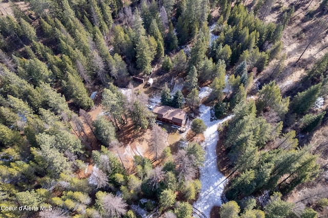 5341 Hoo Doo Loop, Oldtown, ID 83822 - aerial view of property and surrounding area