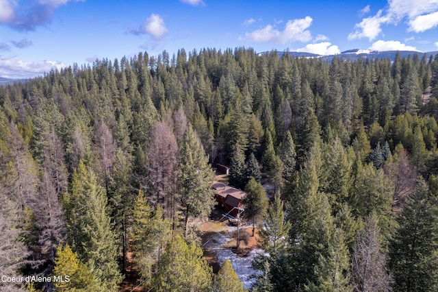 5341 Hoo Doo Loop, Oldtown, ID 83822 - view of subject property featuring a heavily wooded area and a mountain backdrop