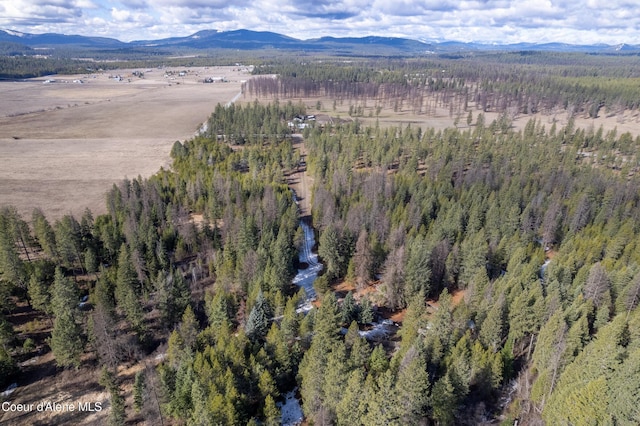 5341 Hoo Doo Loop, Oldtown, ID 83822 - view of property location with a mountain backdrop and a forest