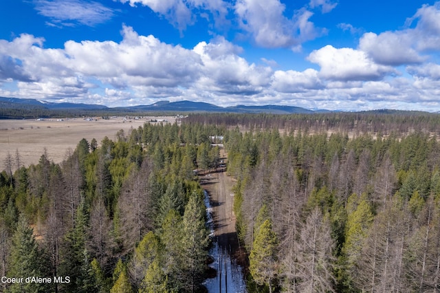 5341 Hoo Doo Loop, Oldtown, ID 83822 - view of mountain backdrop featuring a heavily wooded area