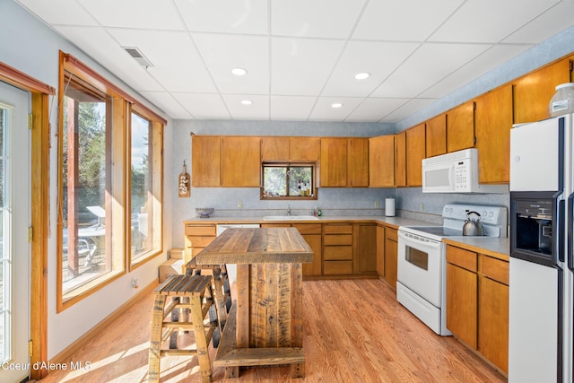 5341 Hoo Doo Loop, Oldtown, ID 83822 - kitchen with white appliances, plenty of natural light, light wood-type flooring, a drop ceiling, and recessed lighting