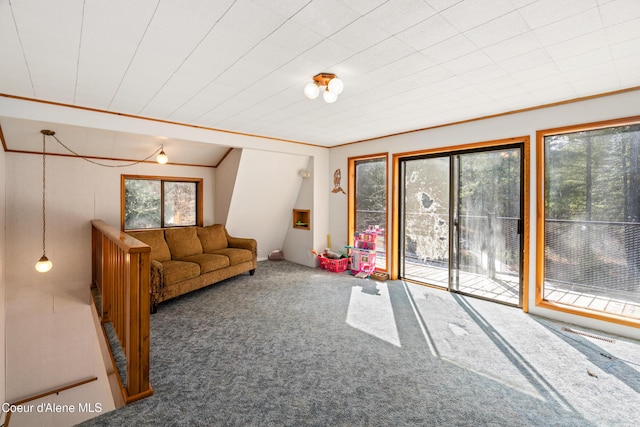 5341 Hoo Doo Loop, Oldtown, ID 83822 - living area with carpet flooring