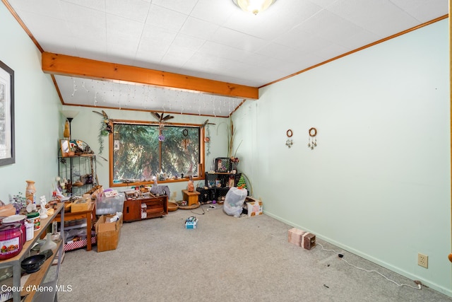 5341 Hoo Doo Loop, Oldtown, ID 83822 - interior space with carpet floors, crown molding, and vaulted ceiling