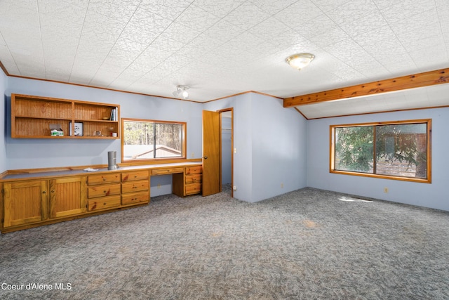 5341 Hoo Doo Loop, Oldtown, ID 83822 - unfurnished office with built in study area, plenty of natural light, carpet flooring, and vaulted ceiling