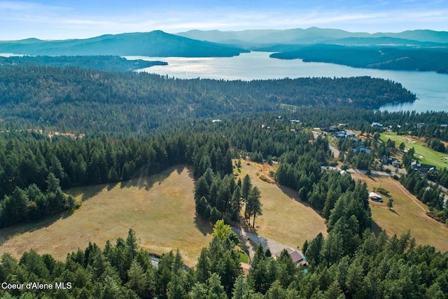 8562 S Gozzer Rd, Harrison, ID 83833 - photo 40